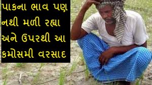 કમોસમી વરસાદ