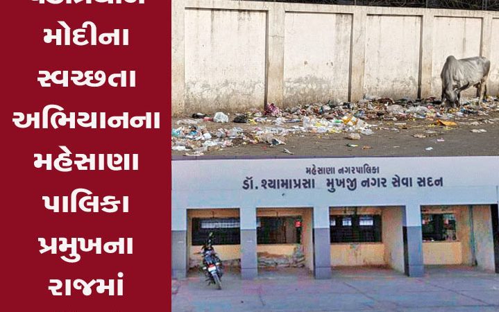 સફાઇ સ્વચ્છતાના નામે બણગાં ફૂંકતા મહેસાણા નગરપાલિકાના સત્તાધીશો ગુજરાત વિદ્યુત બોર્ડની કચેરીના દ્વારની મુલાકાત કરો  