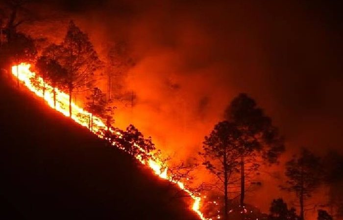 દાંતાના જંગલમાં લાગી ઉત્તરાખંડ જેવી આગ, અરવલ્લી ગિરિમાળામાં દાવાનળ ફાટી નીકળ્યો